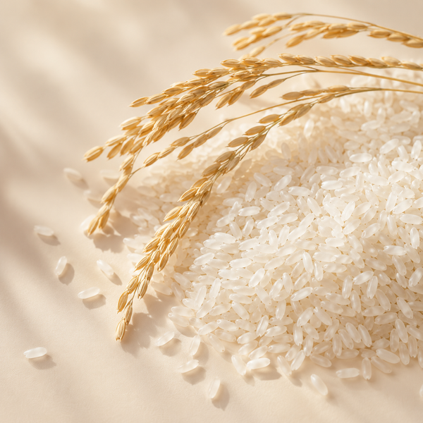 Extracto de arroz
